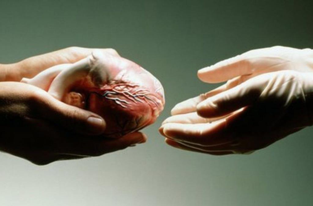 greffe cardiaque