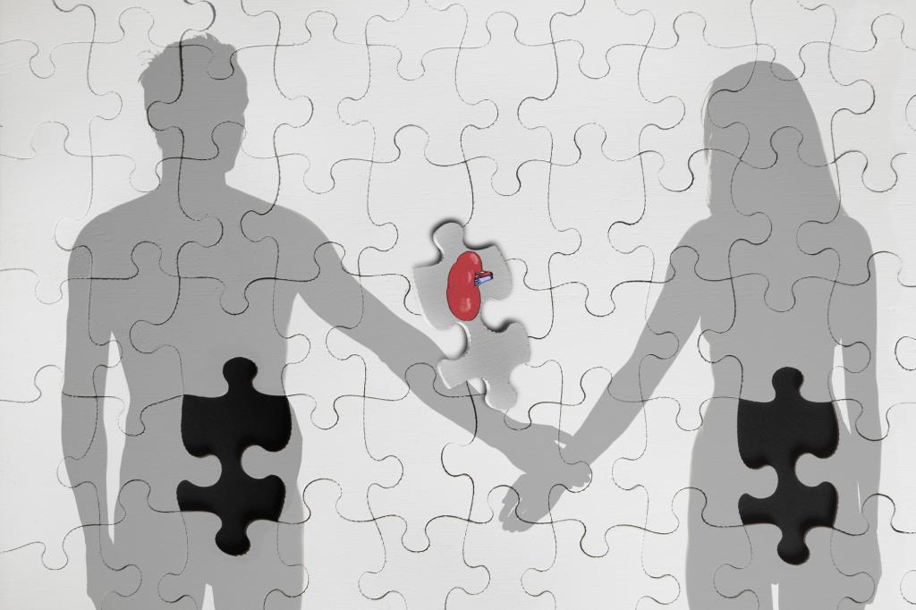puzzle de donation