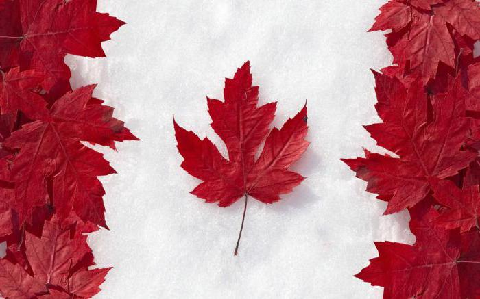 Comment obtenir la citoyenneté canadienne pour un Ukrainien