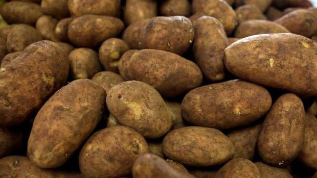  rendement moyen en pommes de terre à partir de 1 ha