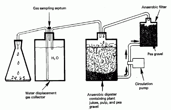 usine d'alcool