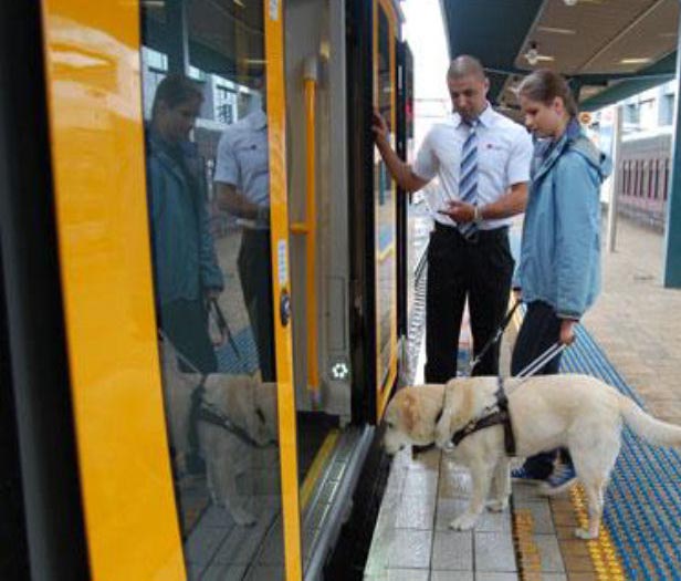 règles de transport des animaux