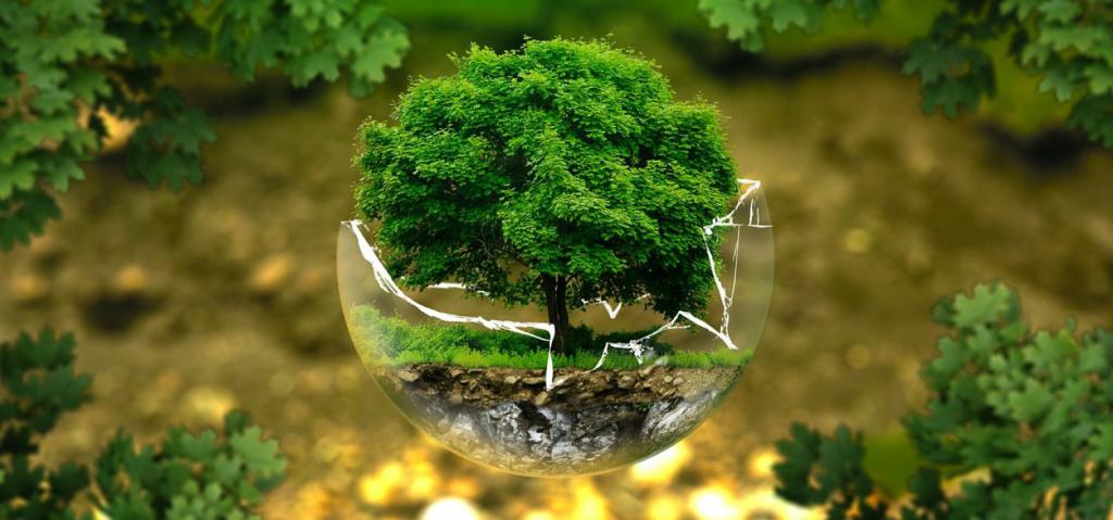 protection de l'environnement