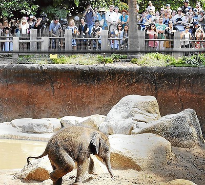 comment ouvrir un contact zoo