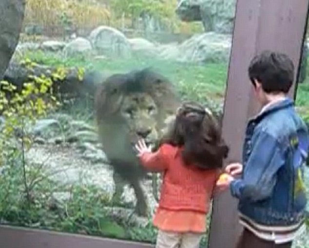 contrat mini zoo