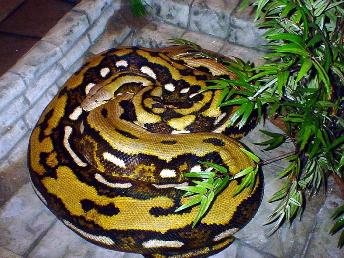 plan d'affaires du zoo