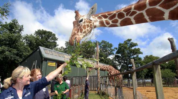 plan d'affaires du zoo