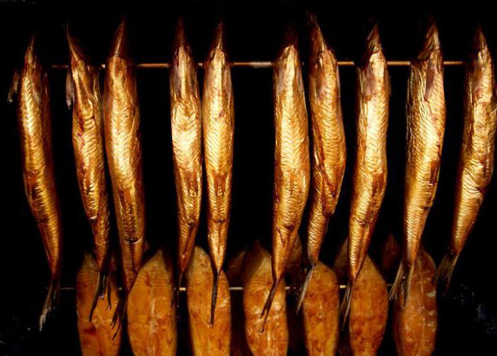 technologie pour fumer du poisson dans la production