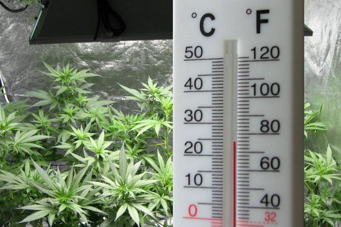 l'humidité de la pièce est normale