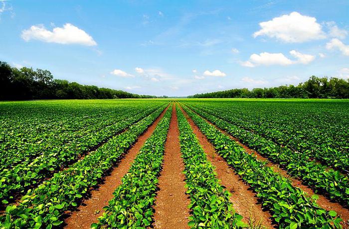 types d'utilisation autorisée des terres agricoles