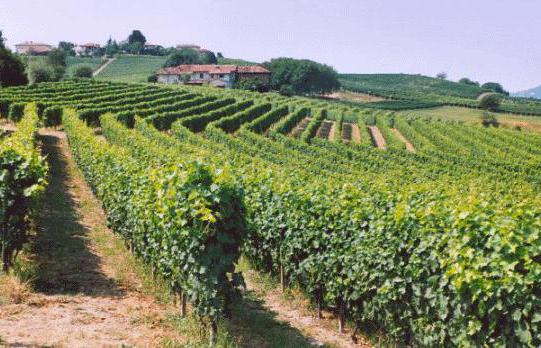 terres agricoles