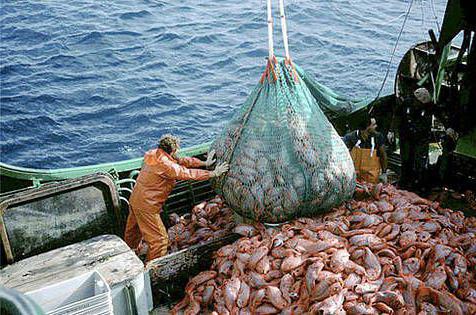 prélèvement illégal de ressources biologiques aquatiques