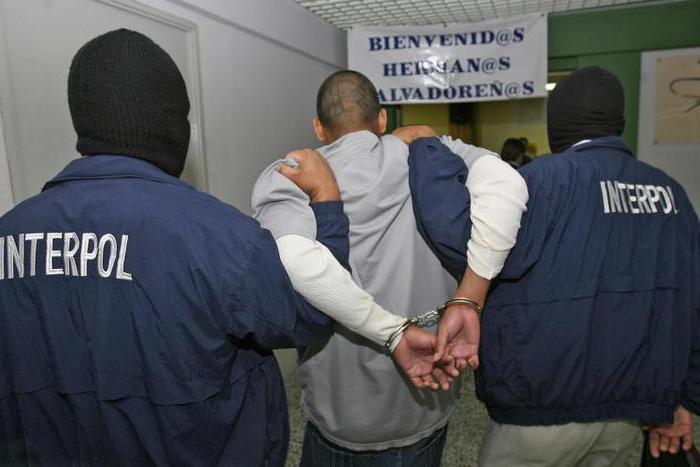 enquête criminelle internationale