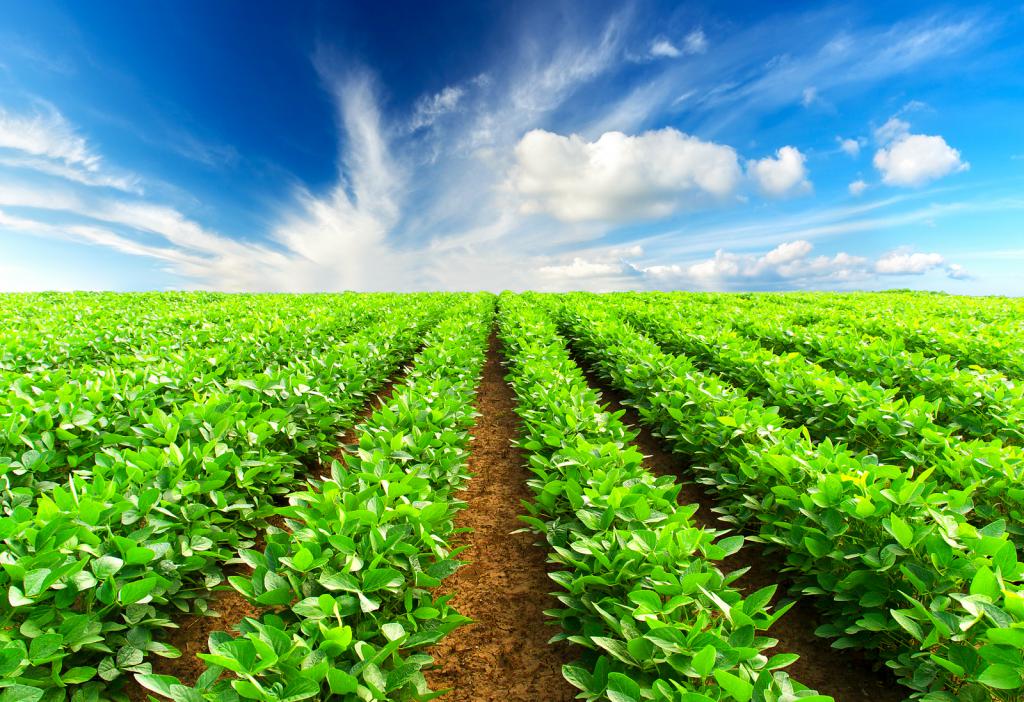 Agriculture