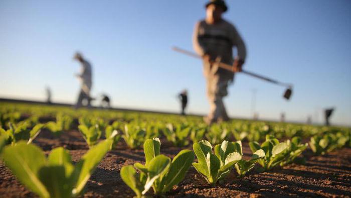 investissement dans l'agriculture en Russie