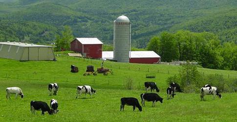 fonds d'investissement agricole