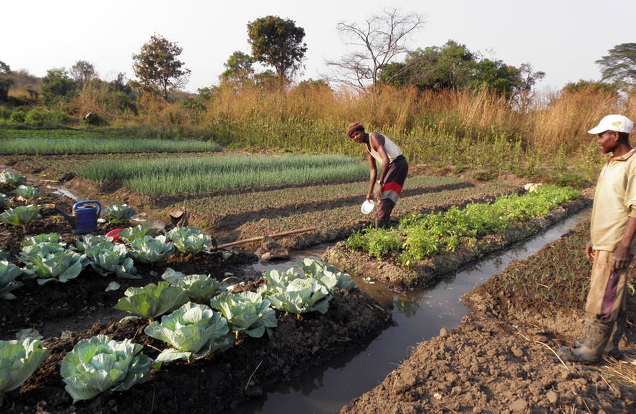 Fonds de redistribution des terres agricoles