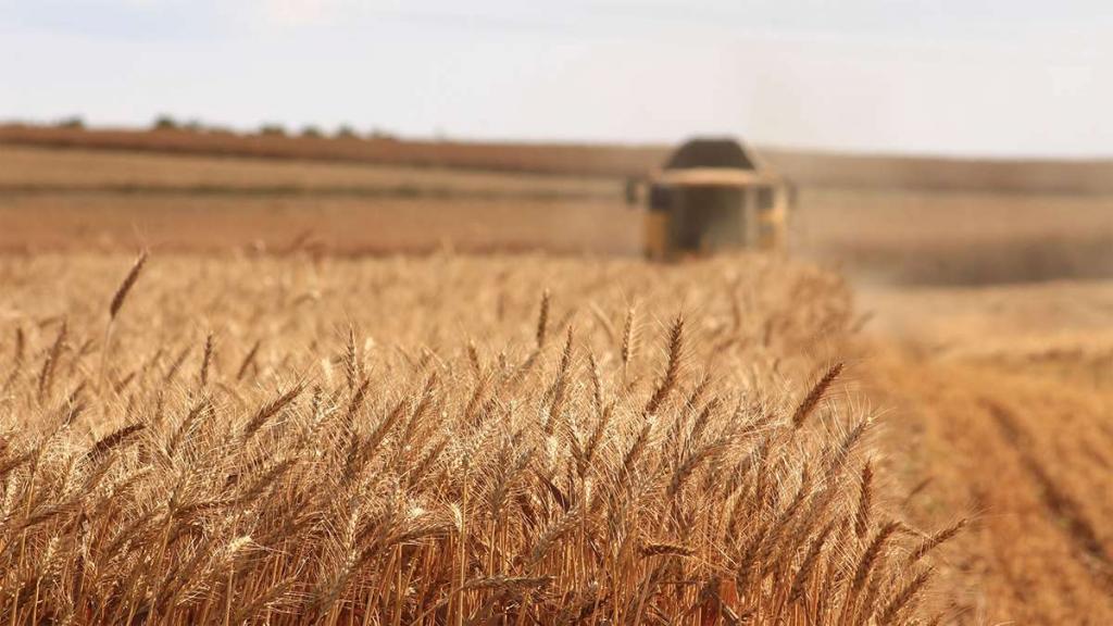 Redistribution des terres ou des terres