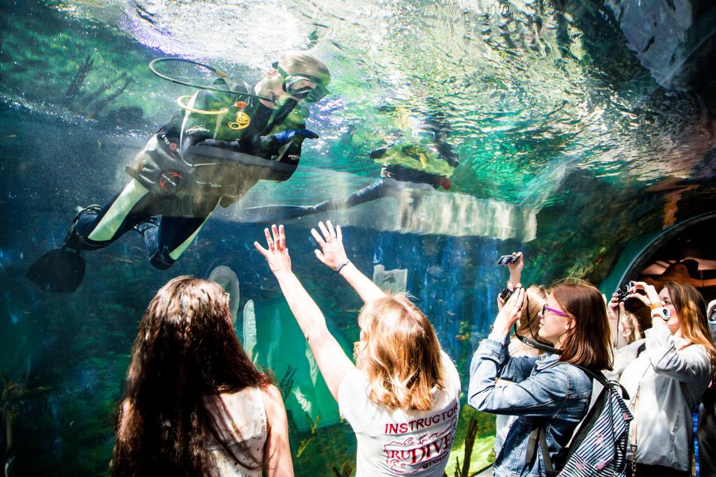 anniversaire à l'aquarium