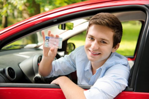 permis de conduire de la police de la circulation