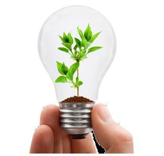responsabilité administrative pour les infractions environnementales