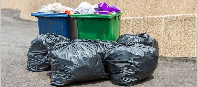 responsabilité disciplinaire pour les infractions environnementales