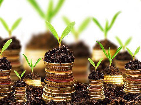 Quelle est l'économie?