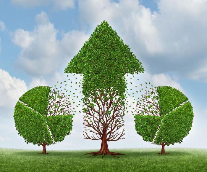 Calculer la taille des dividendes sur les actions