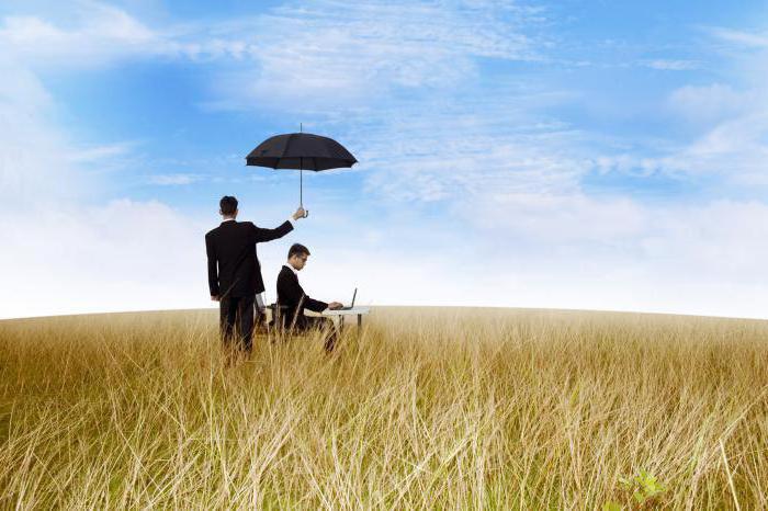 assurance et évaluation d'entreprise