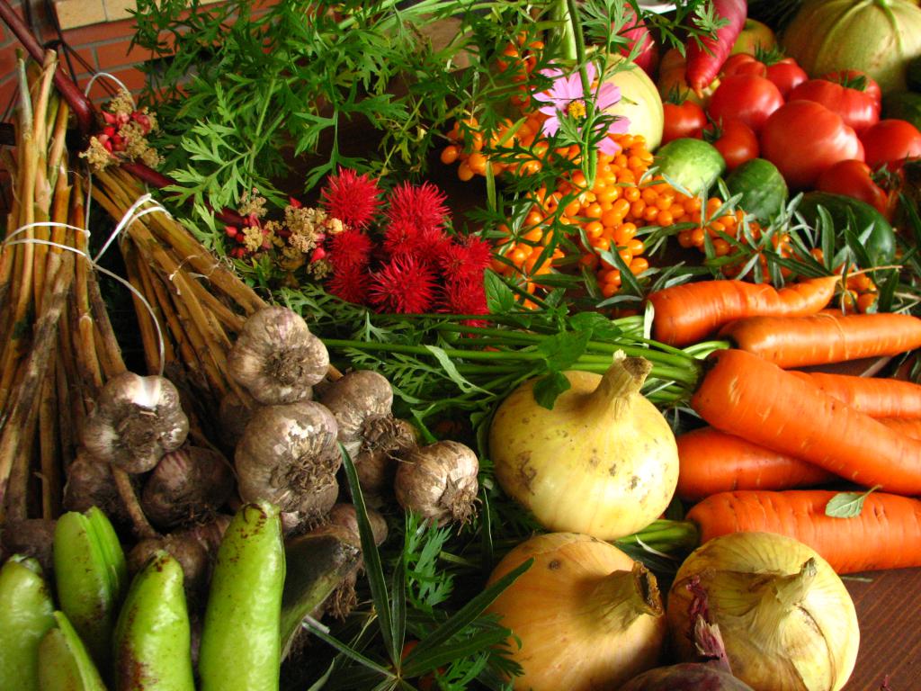 transformation agricole