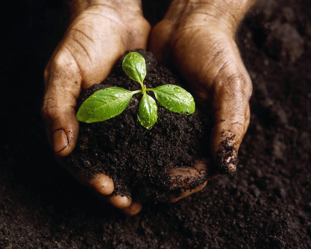 La Terre est une composante de la nature