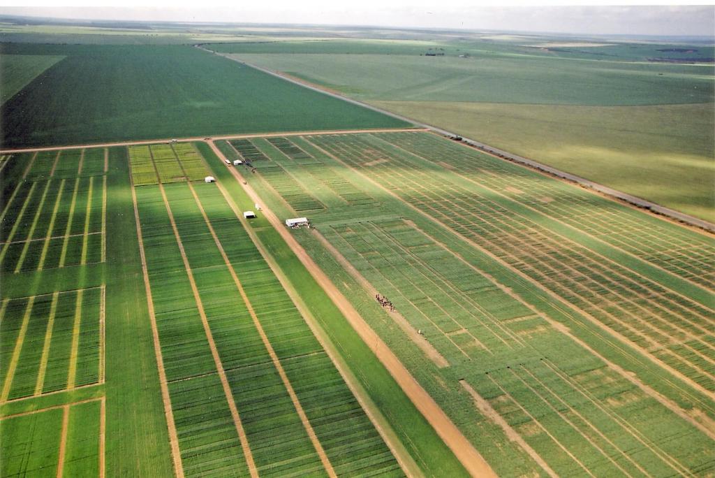 terres agricoles
