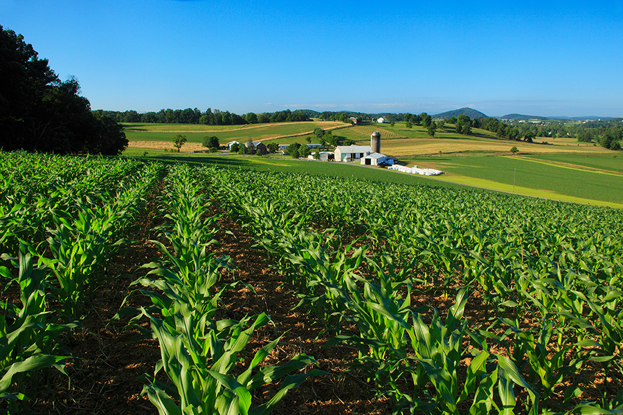 utilisation des terres agricoles