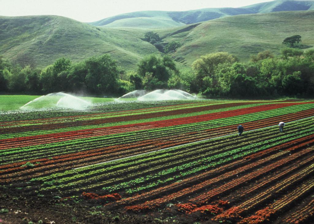 structure des terres agricoles