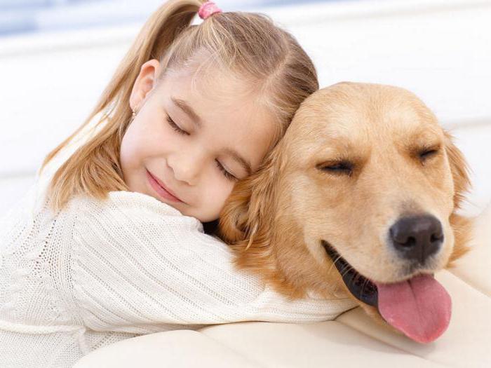 assurance pour animaux de compagnie