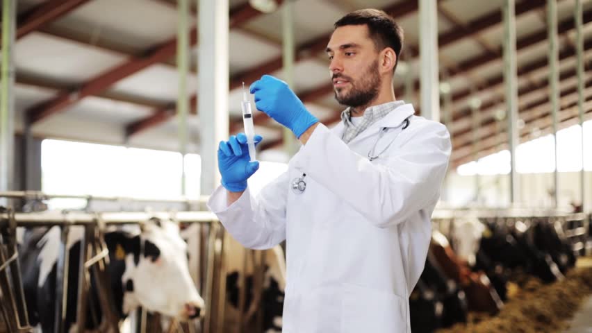 comment encourager les jeunes professionnels dans les zones rurales