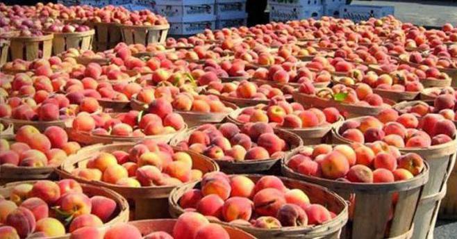 quand l'embargo alimentaire sera levé