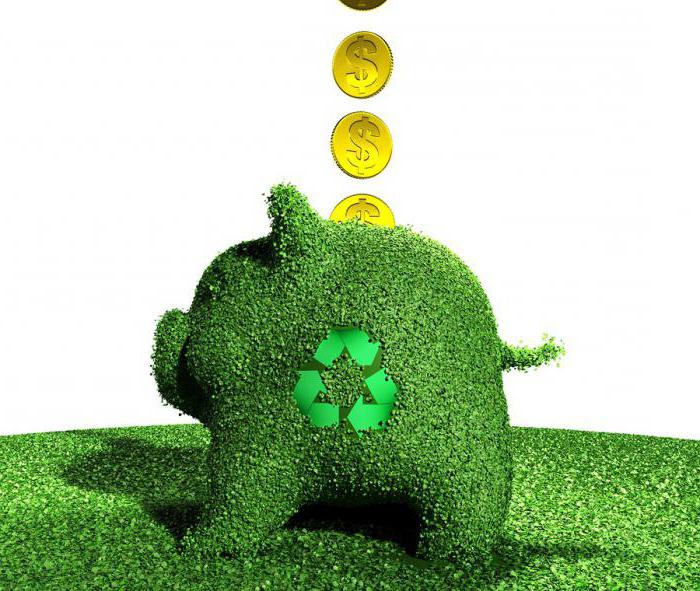 rapport de collecte environnemental