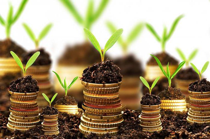 fonction de demande d'investissement