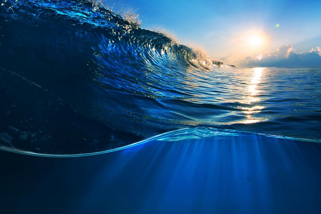 les terres du fonds de l'eau comprennent