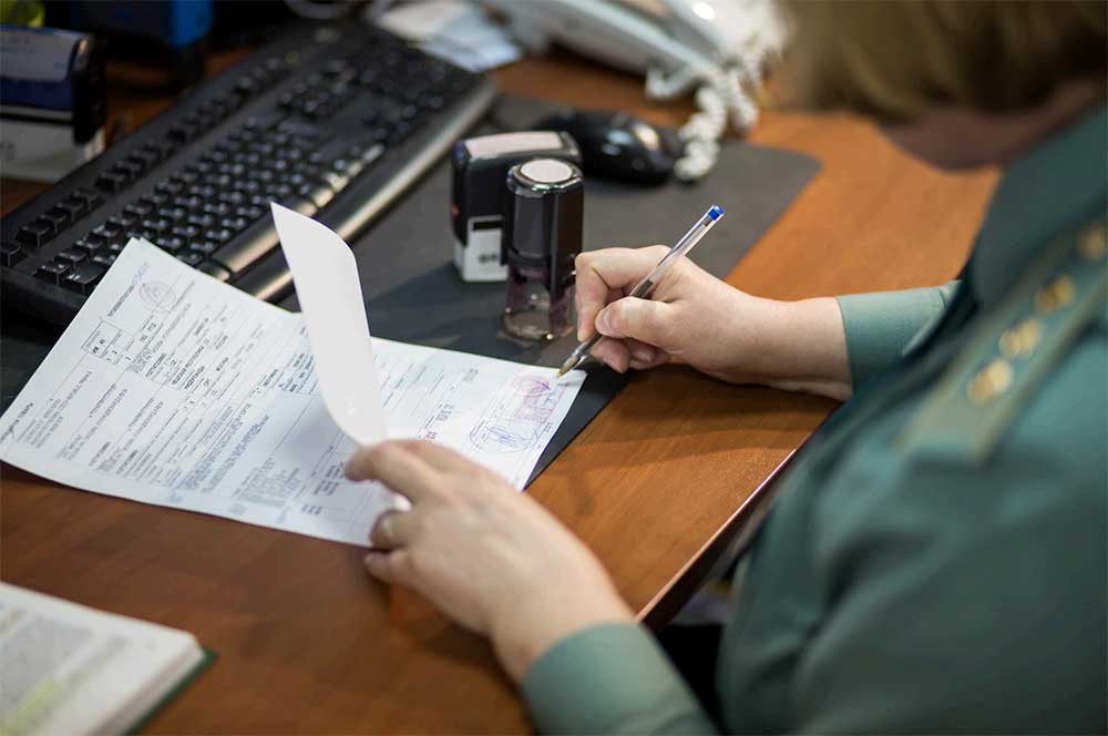Rédaction de documents