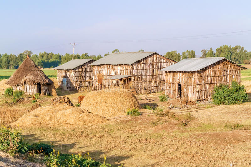 Maison avec terre