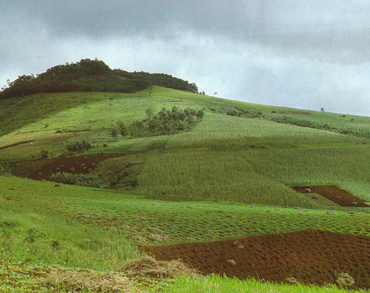 aliénation de terres agricoles