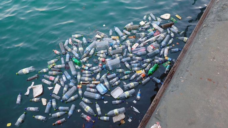 dumping illégal