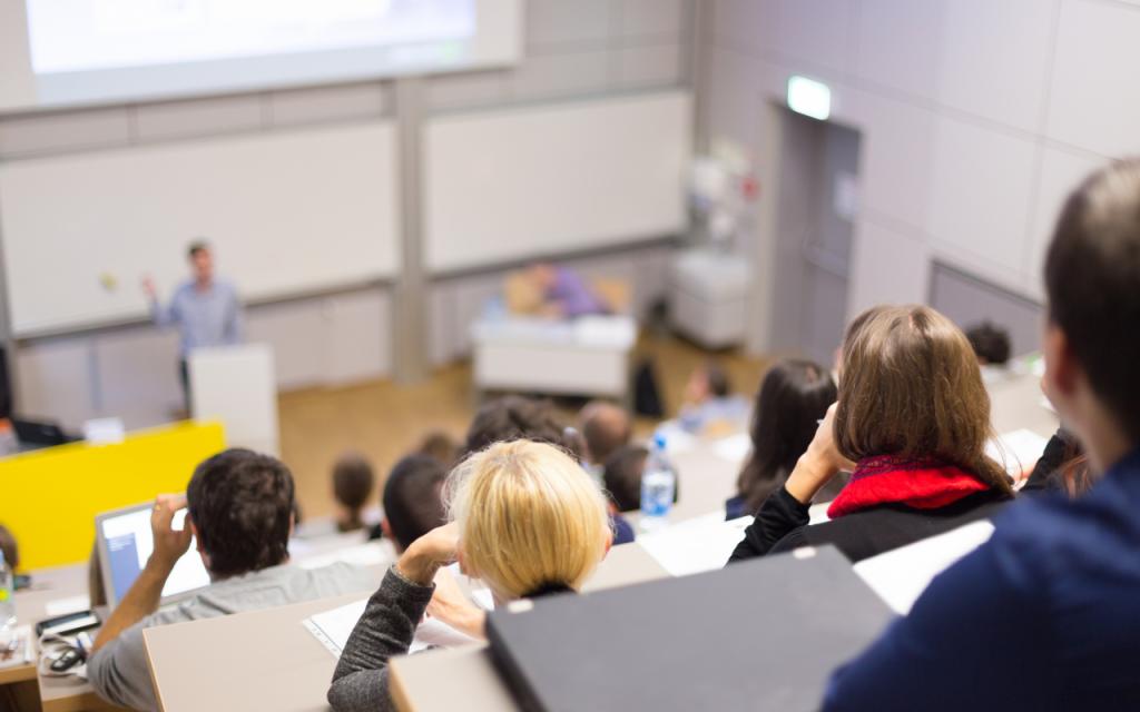 formes d'organisation d'études dans une université