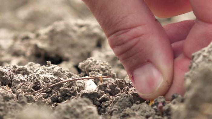 Facteurs de compactage du sol SNP