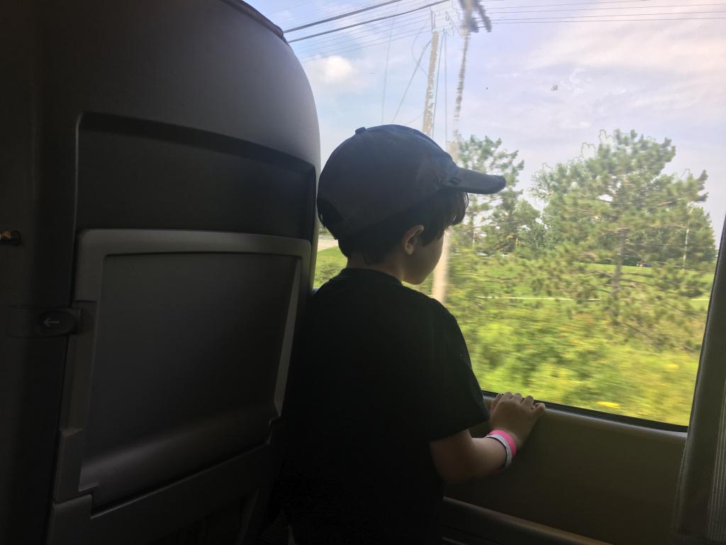 Garçon dans le train