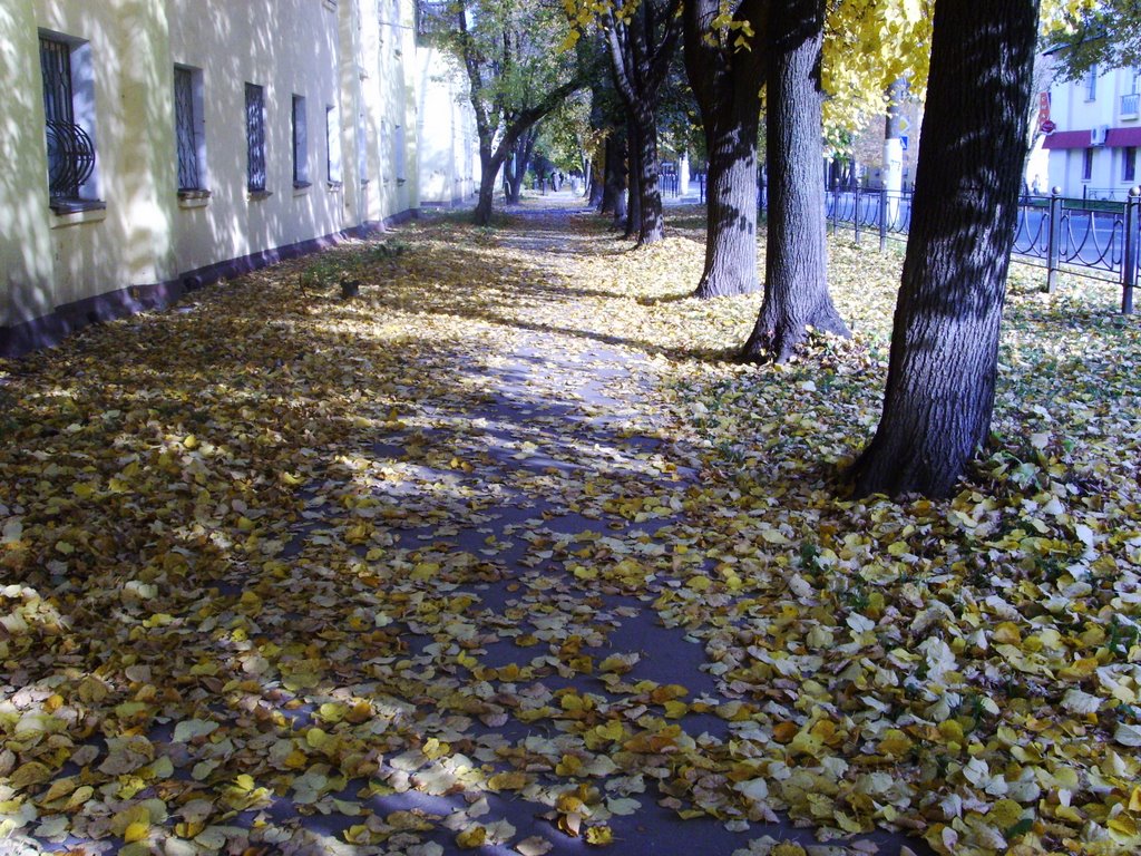 Automne à Elektrostal