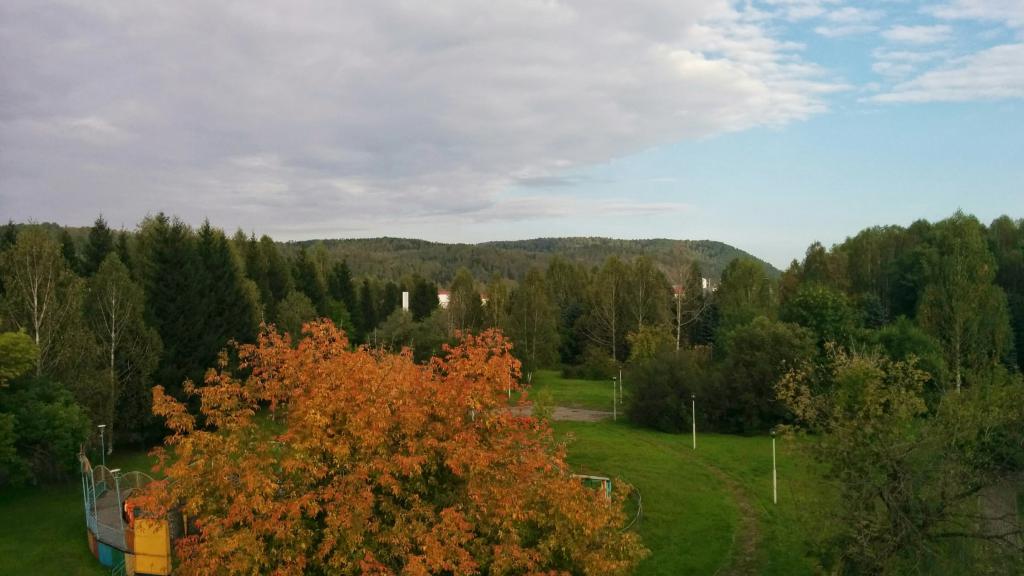 La nature de la région de Kemerovo