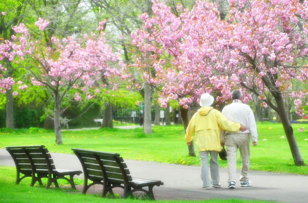pension de retraite au Japon
